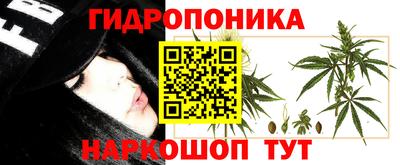 мяу мяу мука Бугуруслан
