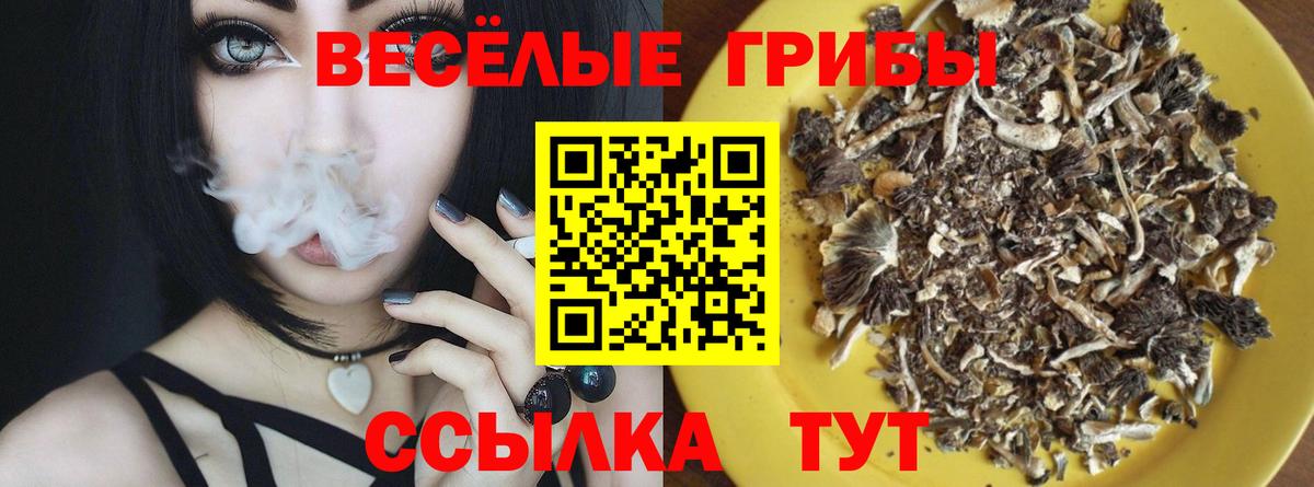 Псилоцибиновые грибы мицелий Усть-Кут
